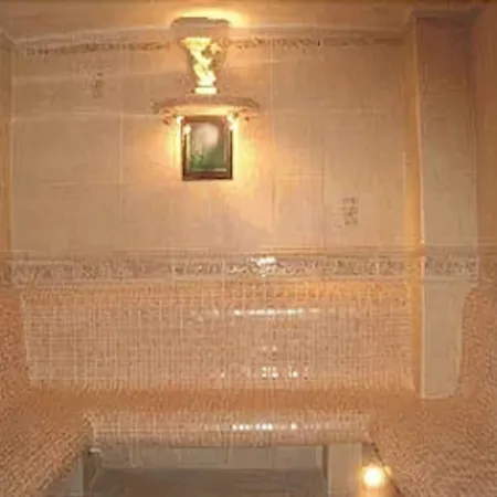 Hotel Ambasador Chojny