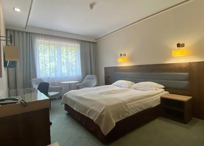 Ambasador Chojny Łódź