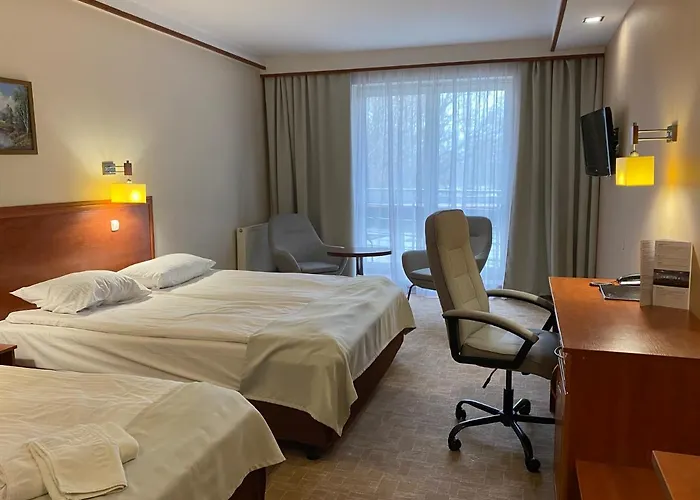 Ambasador Chojny وودج