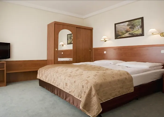 Ambasador Chojny 3* وودج