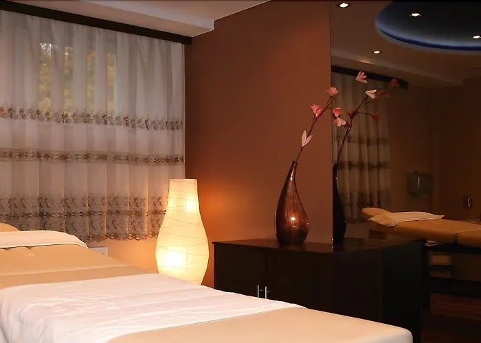 Ambasador Chojny Hotel