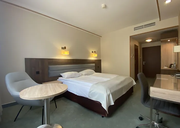 Ambasador Chojny وودج